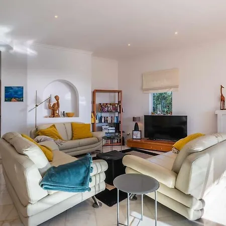 Viola By Gabi Miguel ヴィラ