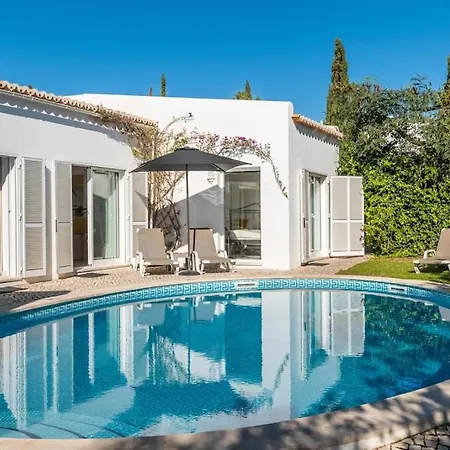 Viola By Gabi Miguel シルヴェス