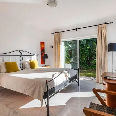 Viola By Gabi Miguel * シルヴェス