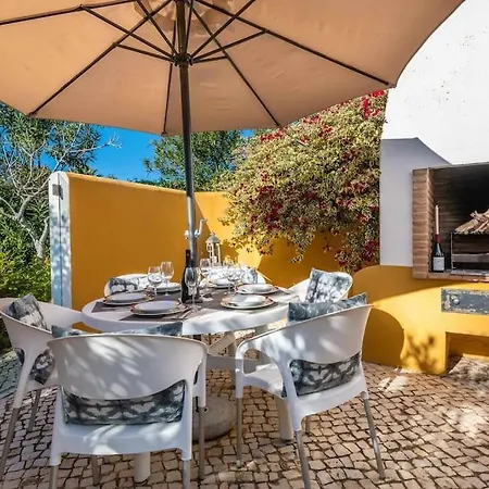 Viola By Gabi Miguel ヴィラ