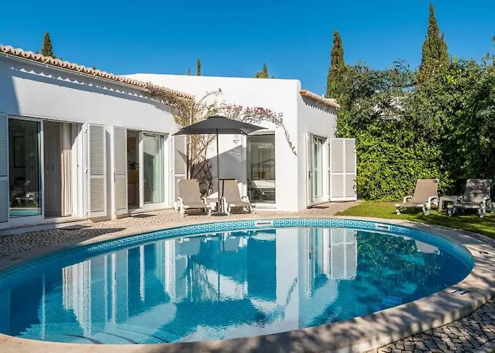 Viola By Gabi Miguel シルヴェス