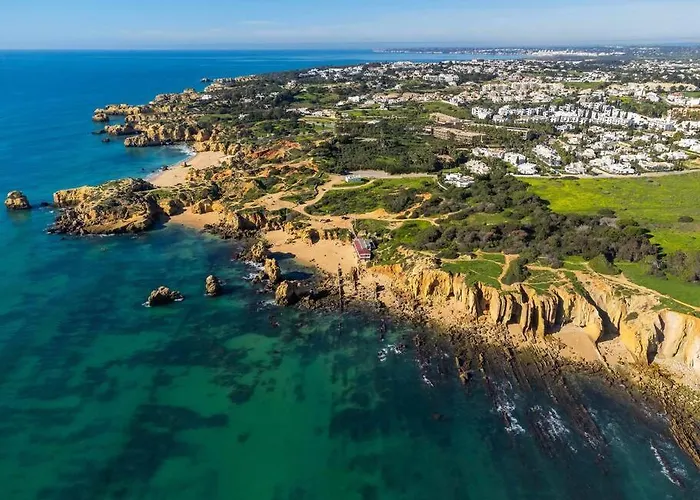 Viola By Gabi Miguel