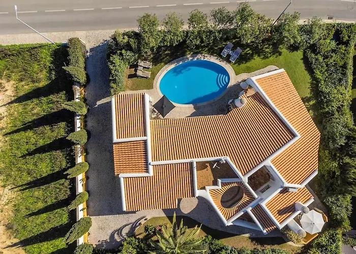 Viola By Gabi Miguel * シルヴェス