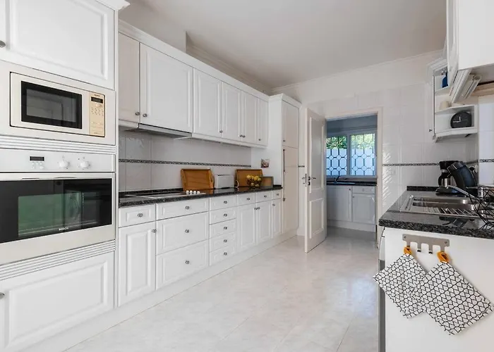 Viola By Gabi Miguel ヴィラ シルヴェス